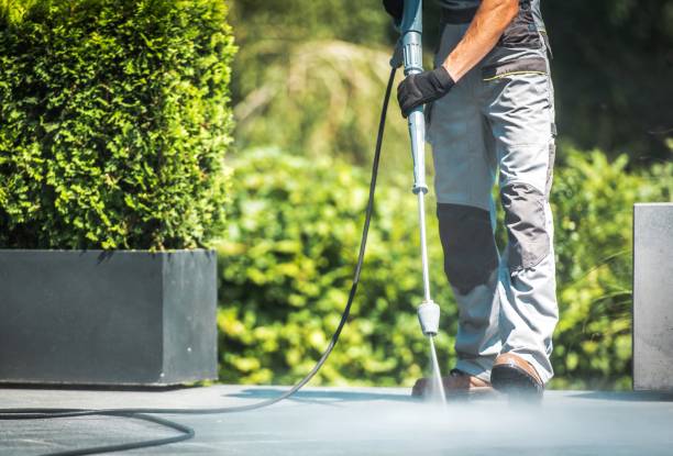 Best Roof Cleaning and Mildew Removal in Wilton, IA