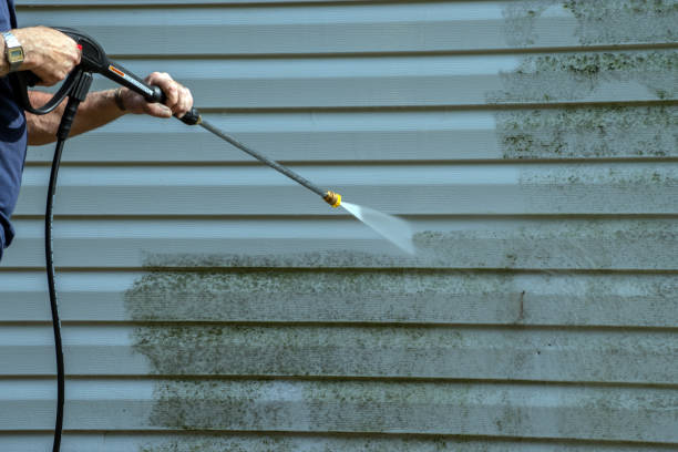 Best Vinyl Siding Pressure Washing in Wilton, IA