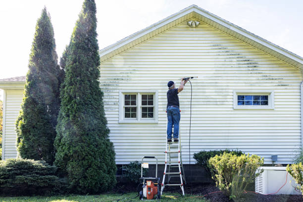 Best Building Exterior Pressure Washing in Wilton, IA