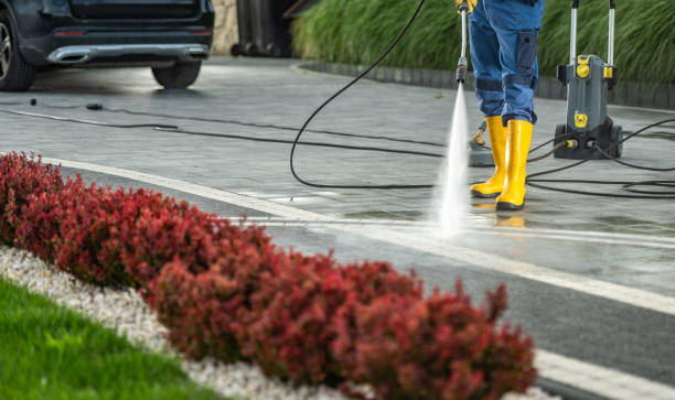 Best Building Exterior Pressure Washing in Wilton, IA