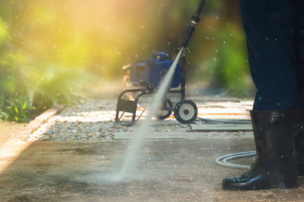 Best Driveway Cleaning and Restoration in Wilton, IA